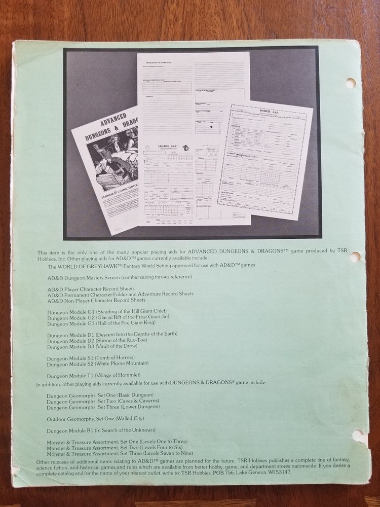 AD&D 1st Edition Permanent Character Folder - Sheet And Adventure Records TSR