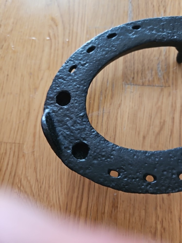 Black Decorative Horse shoes