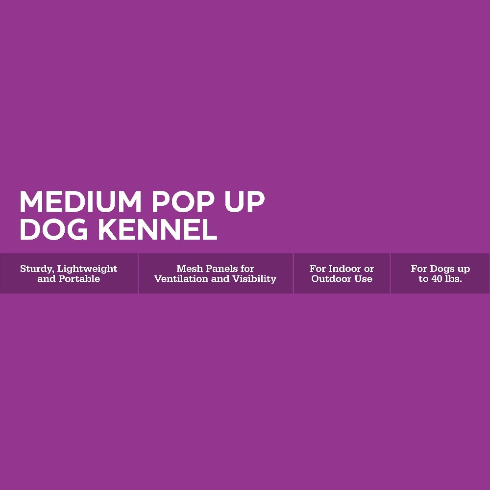 Soft-Sided Pop Open Dog Kennel, Blue, Medium