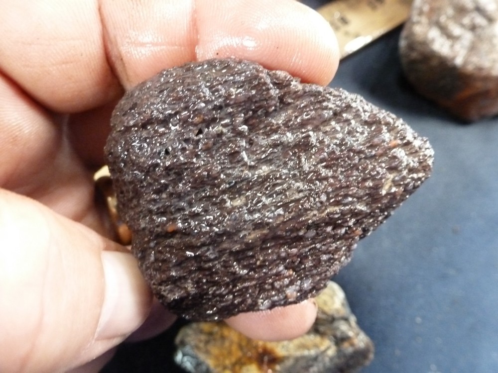 CSS: 6.8 lbs Of Dino Bone Gembone Rough