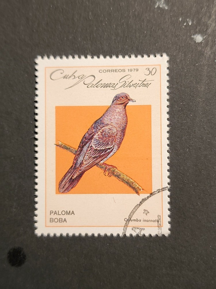 Foreign Bird Stamp Used - # 5199