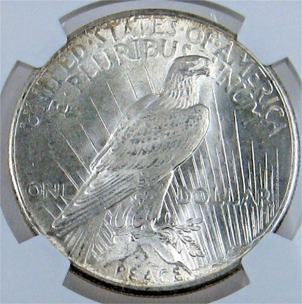 1925 PEACE DOLLAR $1 NGC MS63 BLAST WHITE STRONG VIBRANT LUSTER SHARP DETAILS