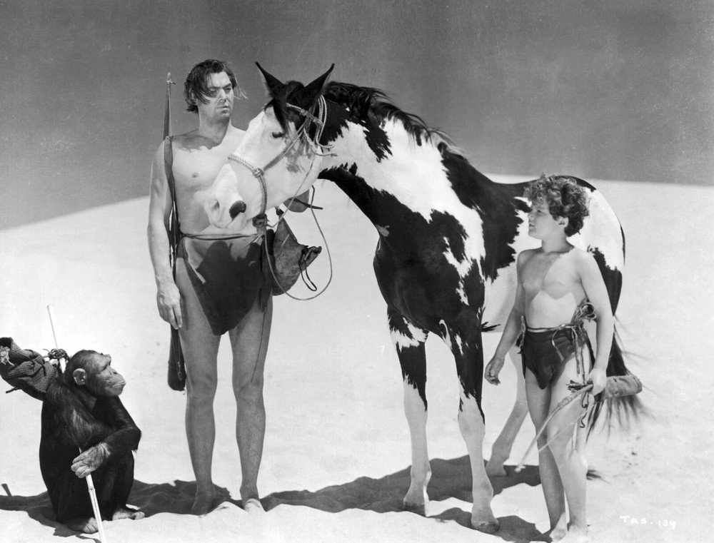 TARZAN  8X10 PHOTO Z178