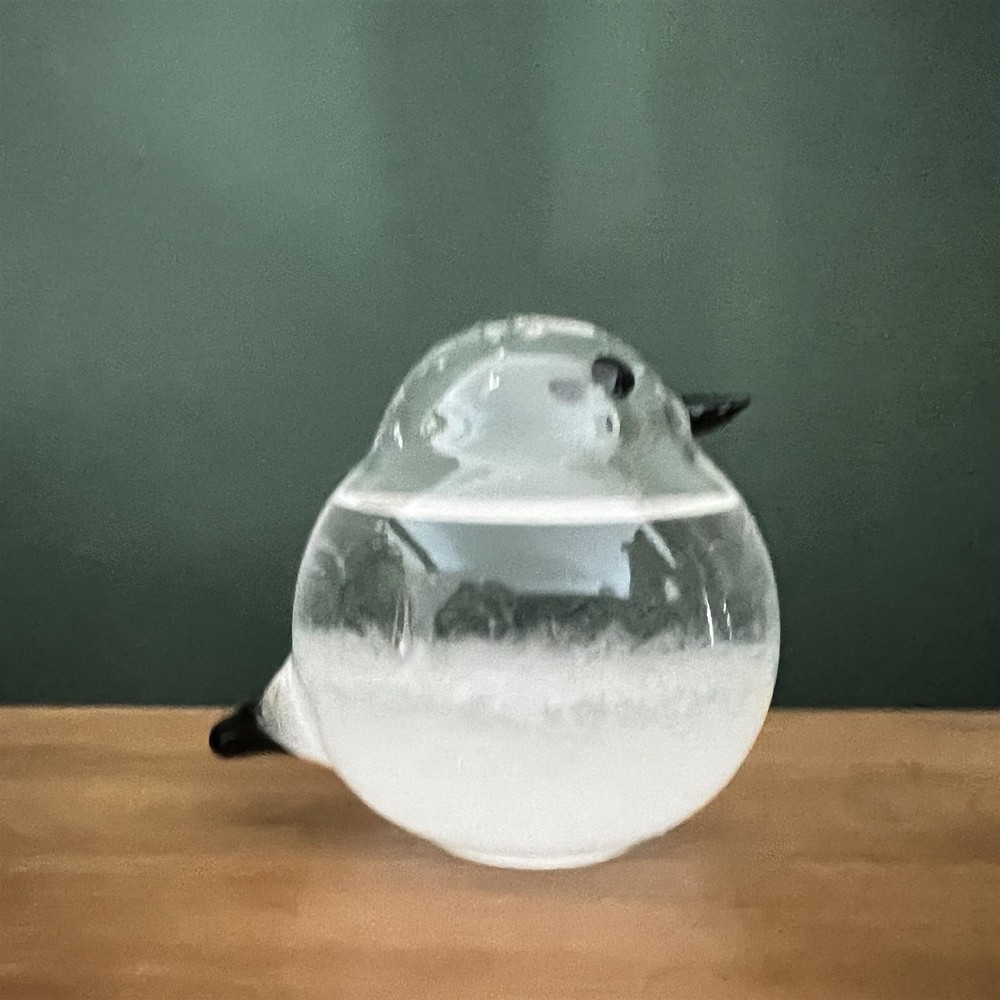 Bird shaped storm glass Weather Forecaster