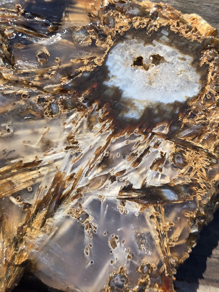 Turkish Agate Slabs Slices From One Stone Matching Lapidary Unique