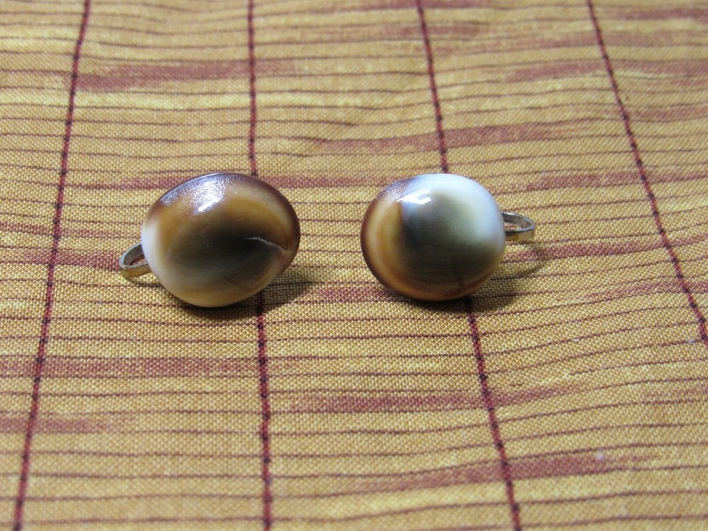 Vtg Polished Cat's Eye Shell Screw Back Earrings