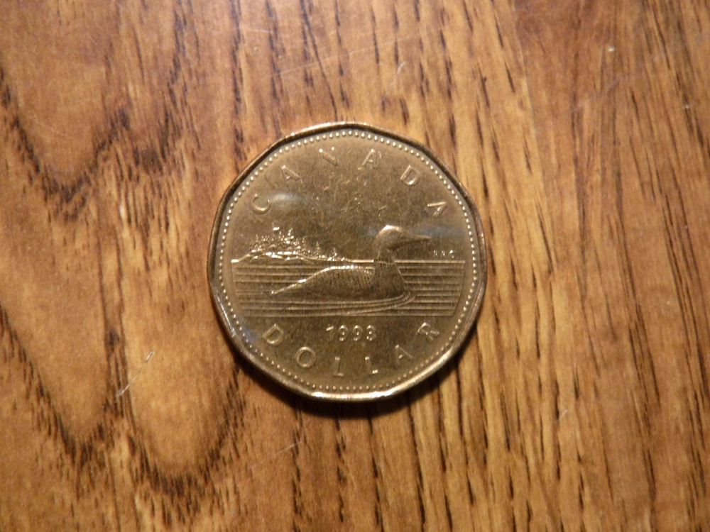 CANADA DOLLAR 1993 COIN (T555)