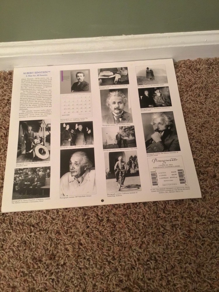 1998 Albert Einstein 12 Month Calendar