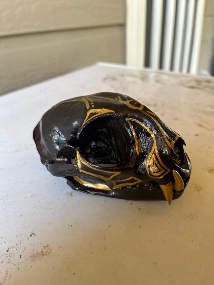 Painted Bobcat Skull please read description
