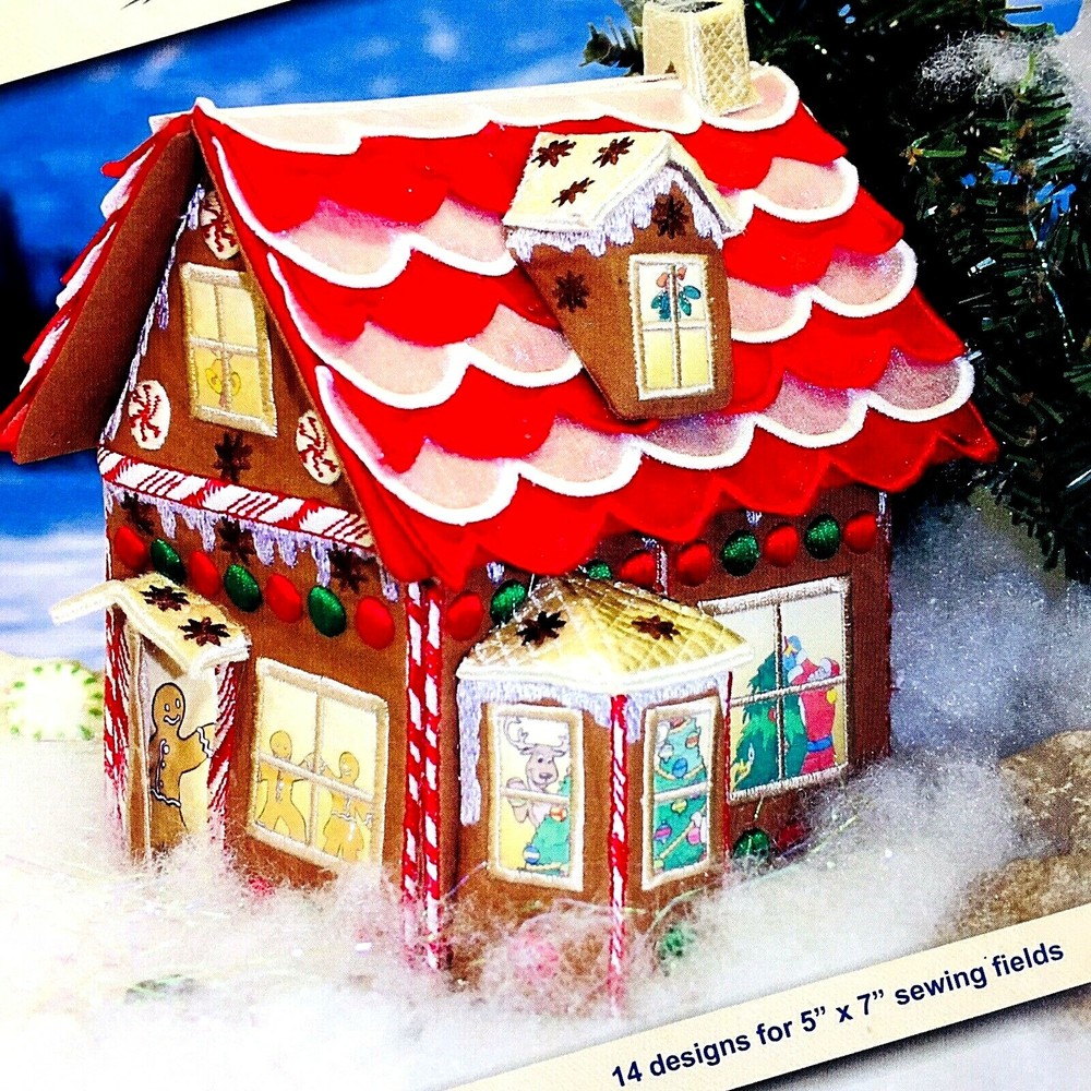 Cactus Punch Embroidery Digitizing - 3D Gingerbread House