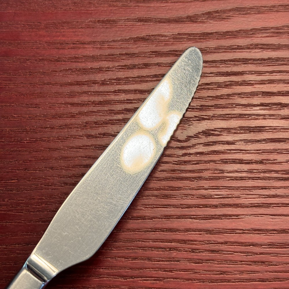 Paella By Oneida Silver Silverplate Serrated Solid Handle Dinner Knife 9 1/5”