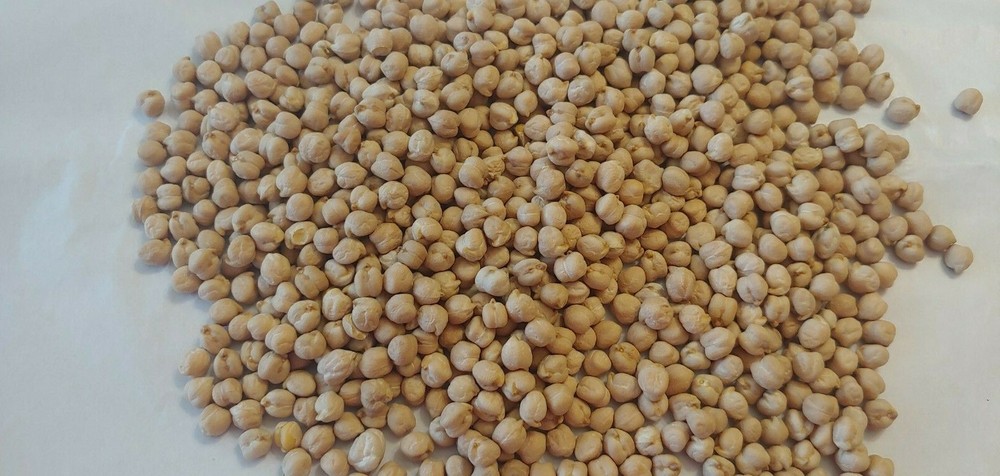 Bulk Dried Chick Peas (Garbanzo Beans) - 4 lb