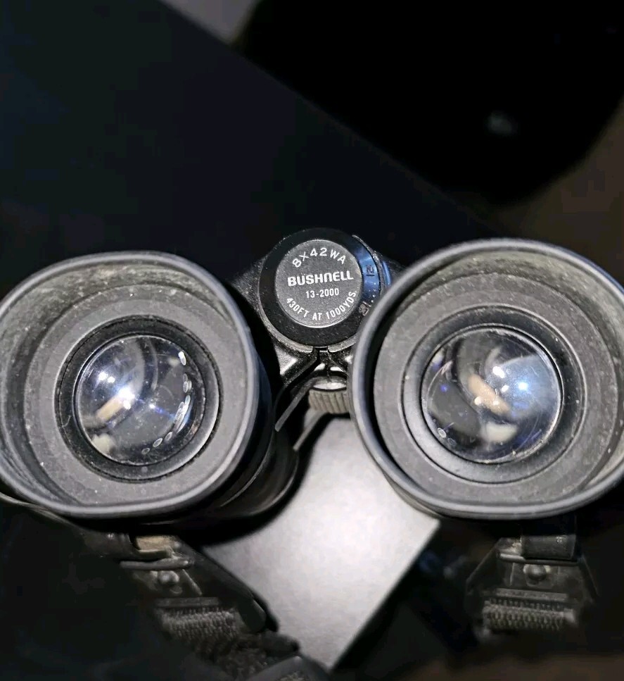 Bushnell Binoculars 8×24