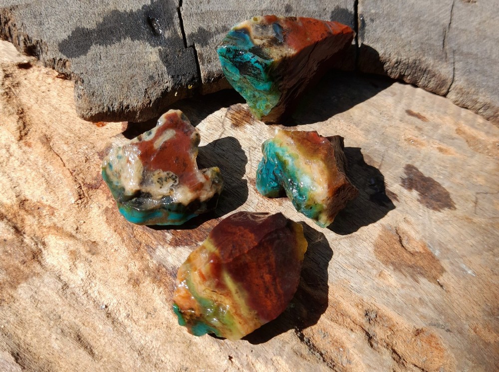 Get 4pc, Rare Natural Blue Opalized Petrified Wood, Indo Java Gem Minerals