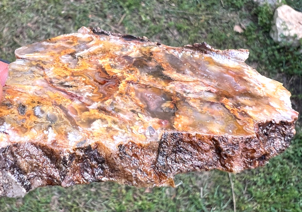 Beautiful Graveyard Point Plumb Agate Slab - 145g