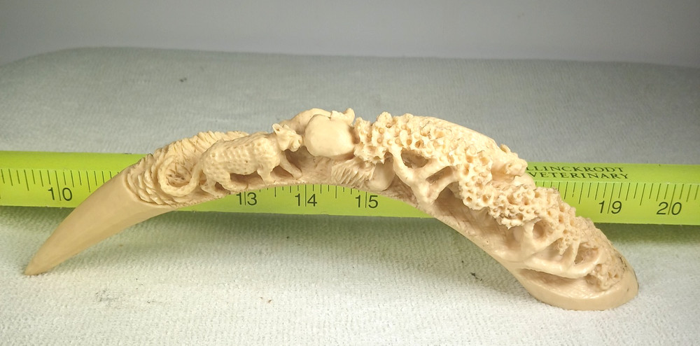WARTHOG TUSK Resin Carving Replica SIGNED