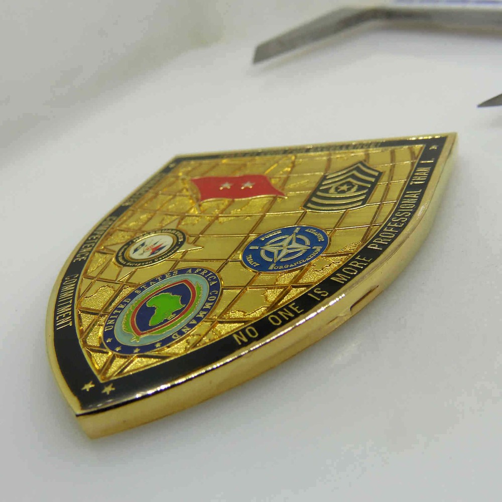 21ST THEATER SUSTAINMENT COMMAND CHALLENGE COIN