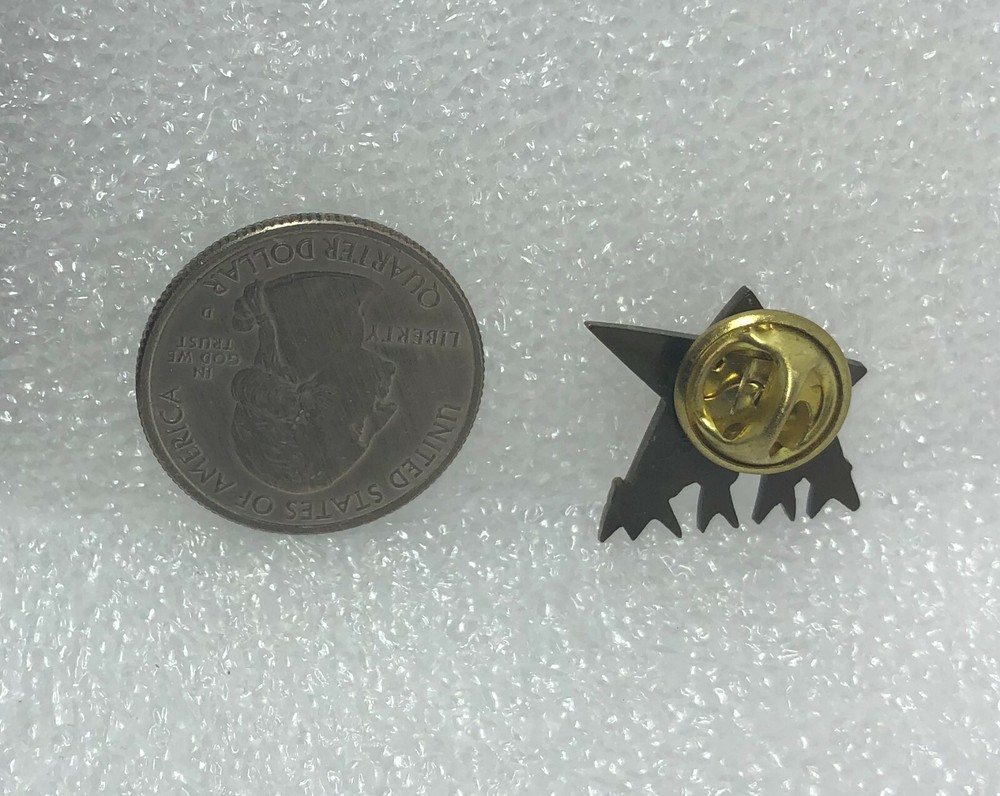 Whatever It Takes! Star Pin