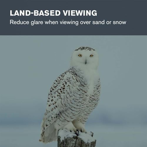 1.25" Moon Filter for Lunar Observation, Bright Planets & Terrestrial Viewing -