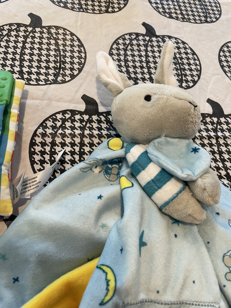Good Night Moon Crinkle Book And Blankey