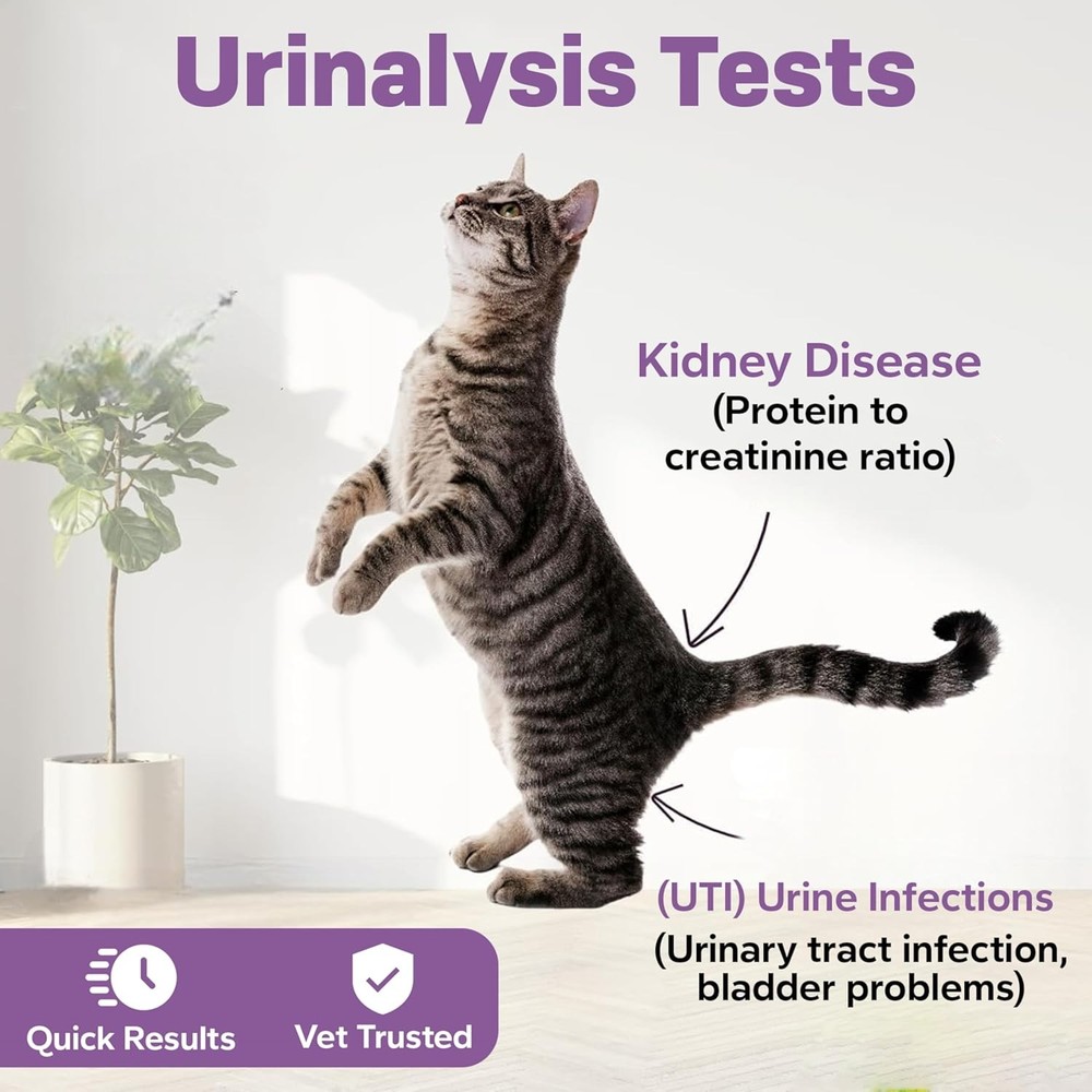 One Step Pet Urine Testing Strips, 5 x Urinalysis 10 Parameter Tests, Re-sealabl