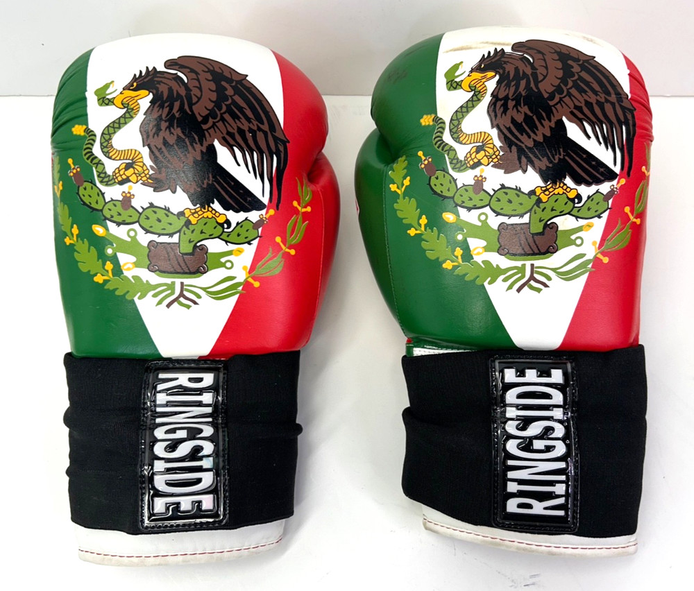 Mexican Flag Themed Boxing Gloves