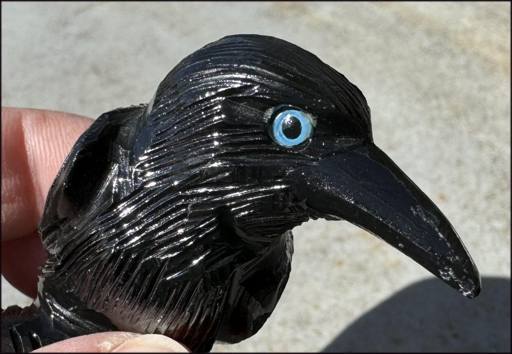 Medium Black Onyx RAVEN Carving w/ Blue Eyes