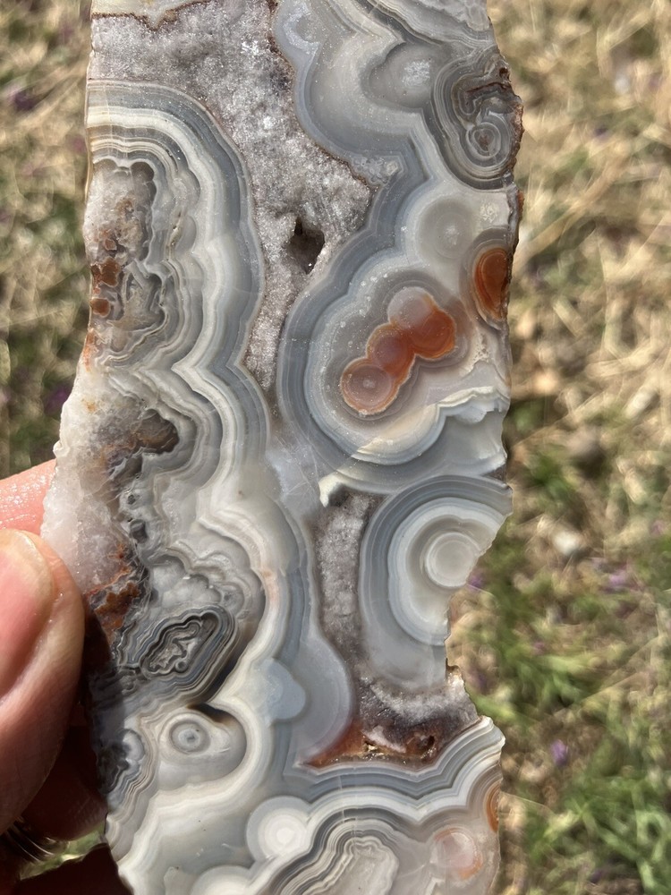 Crazy Lace Agate Slab (Mexico)