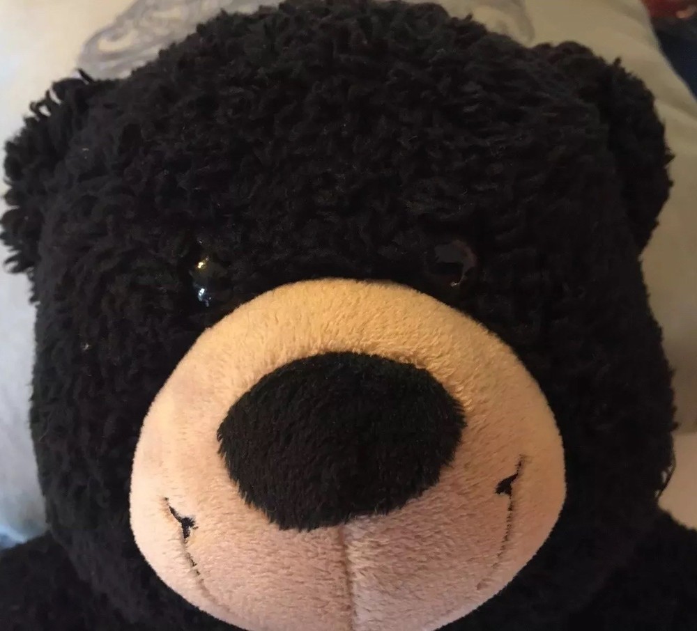 Build-a-Bear Dark Brown Bear Cute 2013 16”