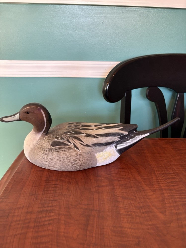 Pintail Drake Greenhead Life size