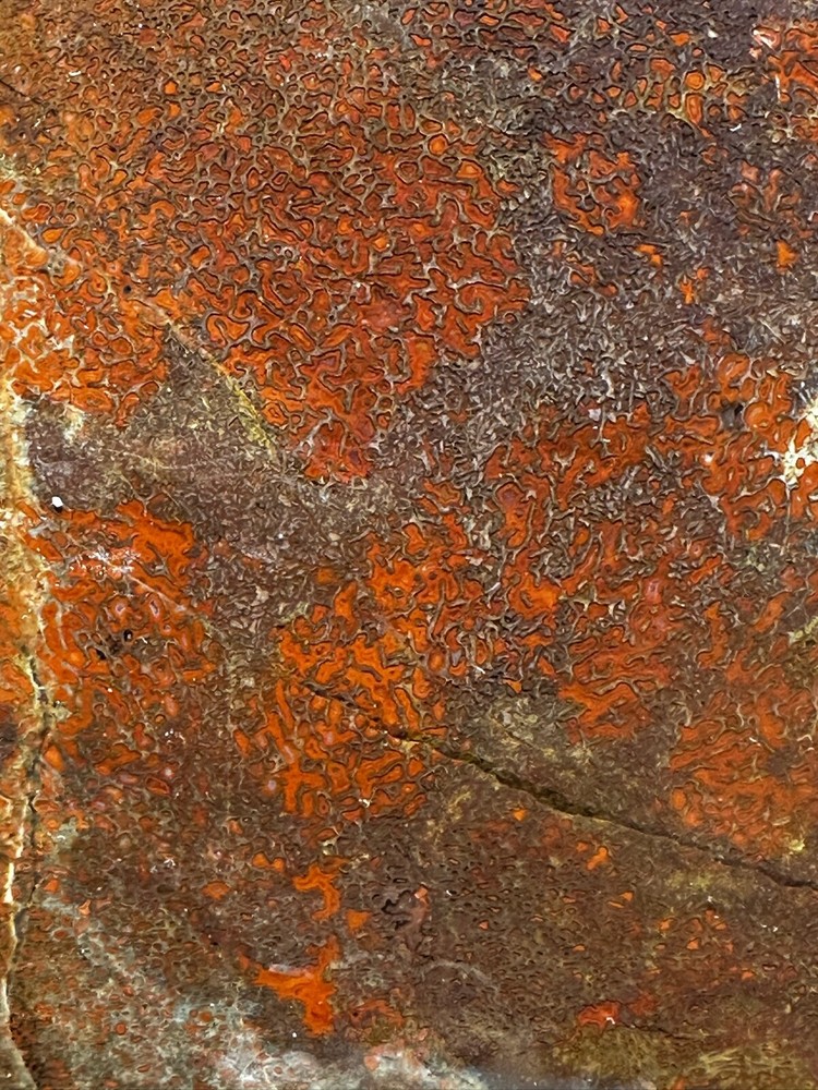 Dinosaur bone rough **hxtled large slab.