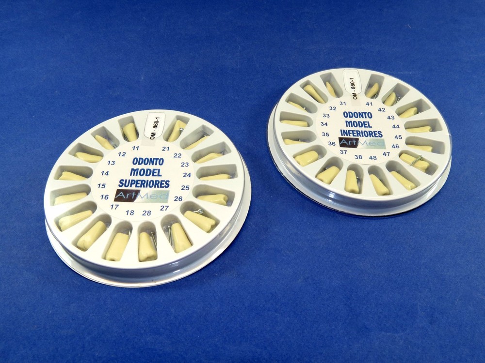 Typodont 860 Dental Universal Plate Training Replacement Teeth Upper Lower Kit