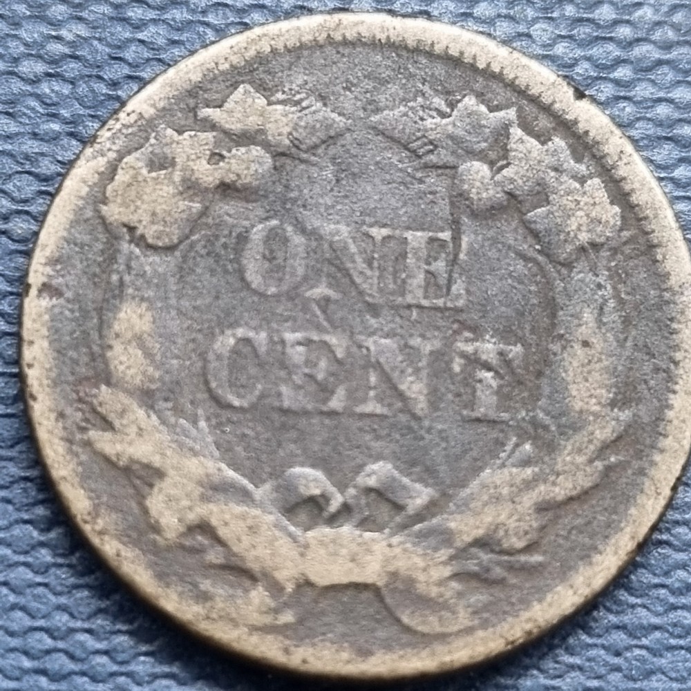 1858 Flying Eagle Cent 1c Circulated Details #101084