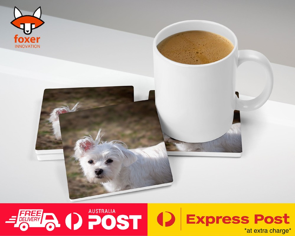 COASTER COFFEE DRINKING MAT|MALTESE DOG 5