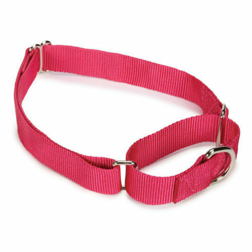 Martingale Dog Collars Adjustable Nylon Choke No Pull Training Pick Color & Size