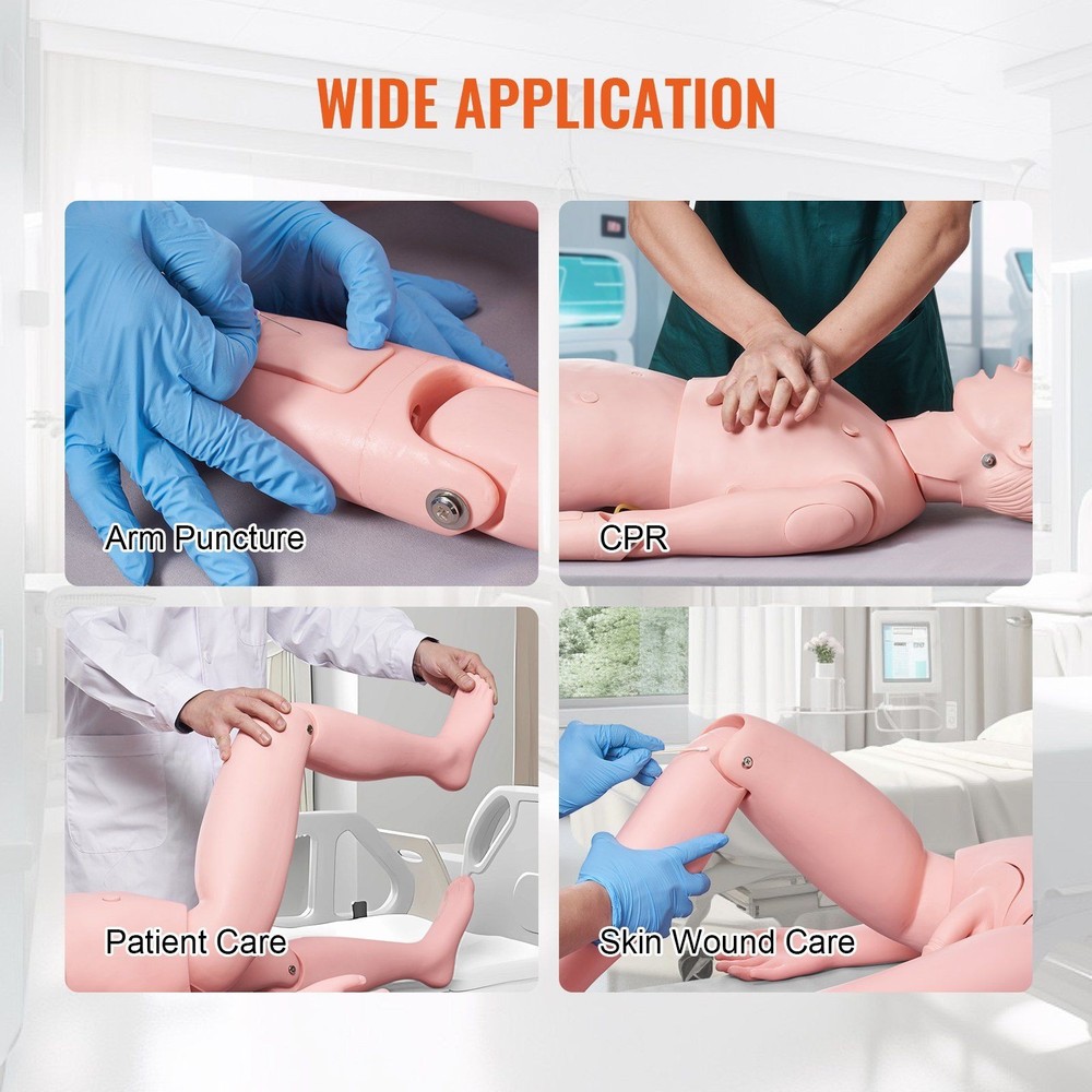 Male Nursing Training System with Realistic Tissue Response and Durability