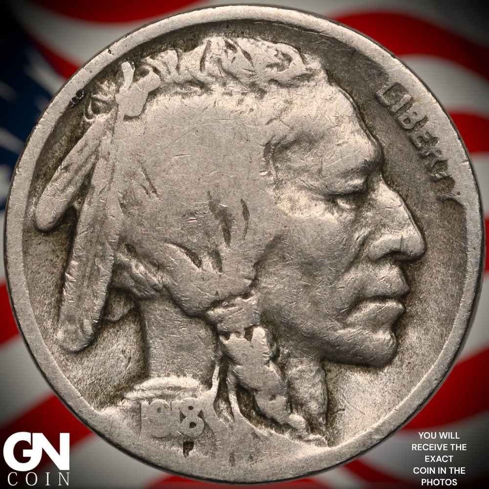 1918 S Buffalo Nickel B0169
