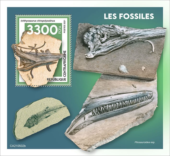 Fossils