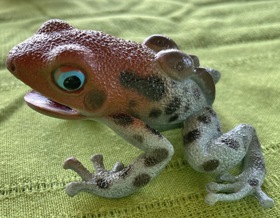 Exotic Frogs and Toads - Hollow Vinyl