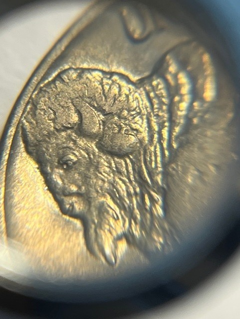 1936-P Buffalo Nickel/XF #10810