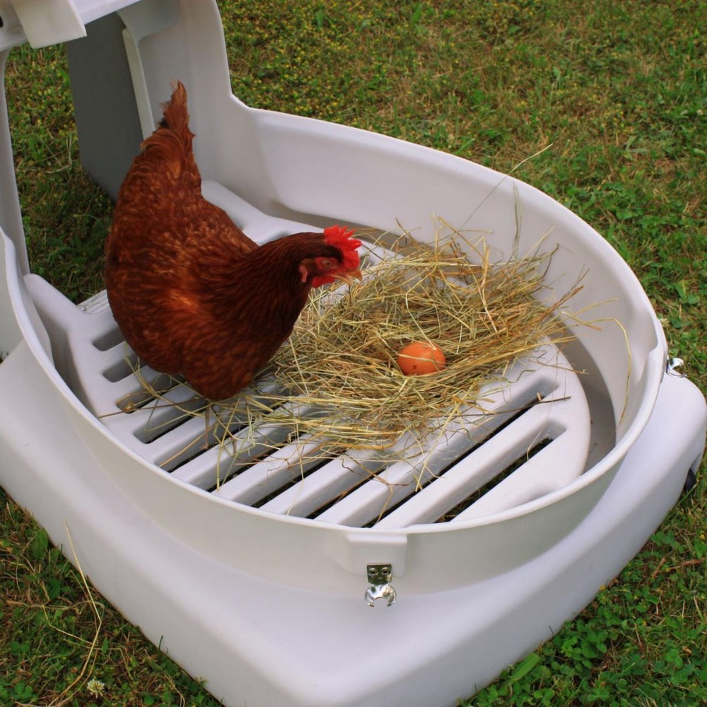 Good Ideas Mini Chicken Coop