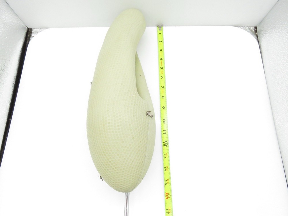 Somso Zos 107 Paramecium Model