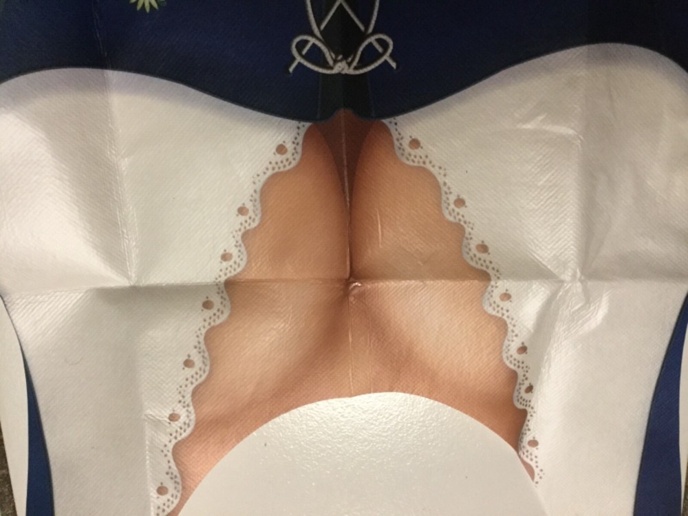 Beistle Plastic Fraulein Vest