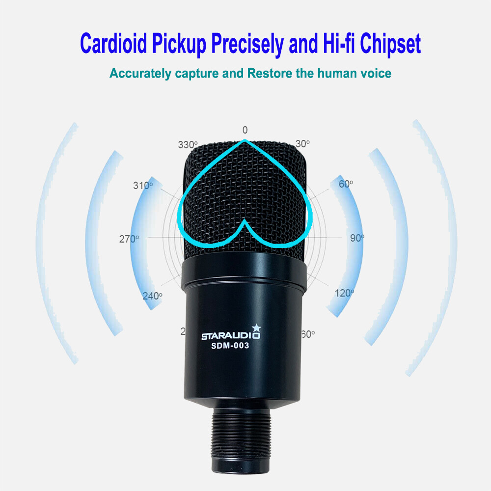 Professional Condenser USB Microphone Kit Complete Set For Studio Recording Mic