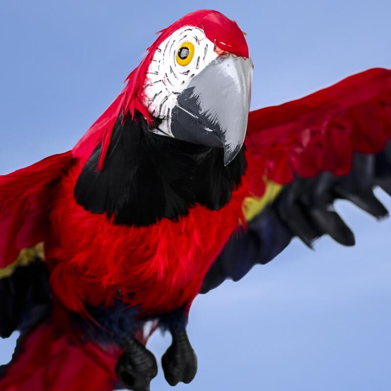 Factory Direct Craft Large Artificial Macaw Parrot | 1 Piece