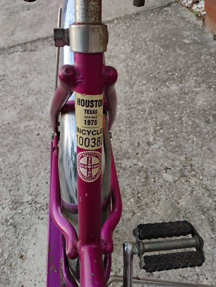 Schwinn Twinn Bicycle