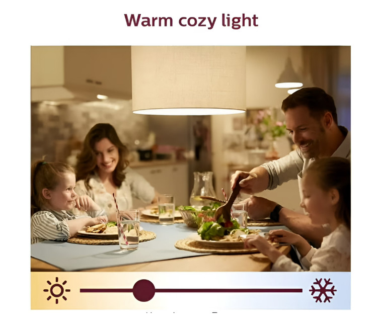PHILIPS Smart Wi-Fi Wiz Connected Color Changing, Dimmable 6.5 ft Light Strip