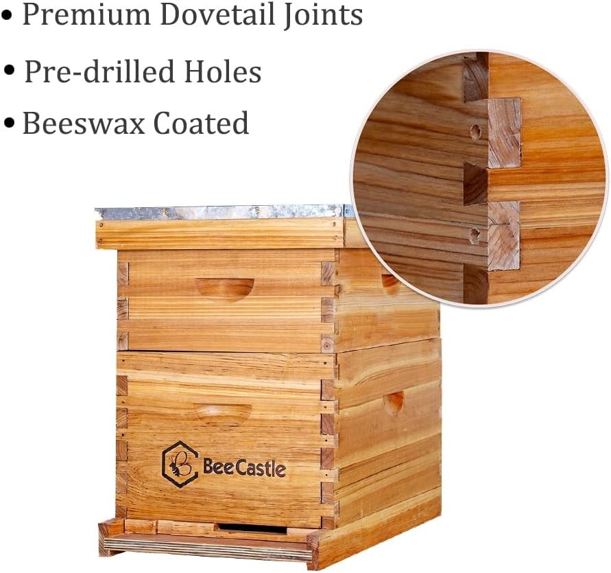 Elegant 8 Frame Langstroth Hive: Beeswax Coated, Modern Design & Starter Kit