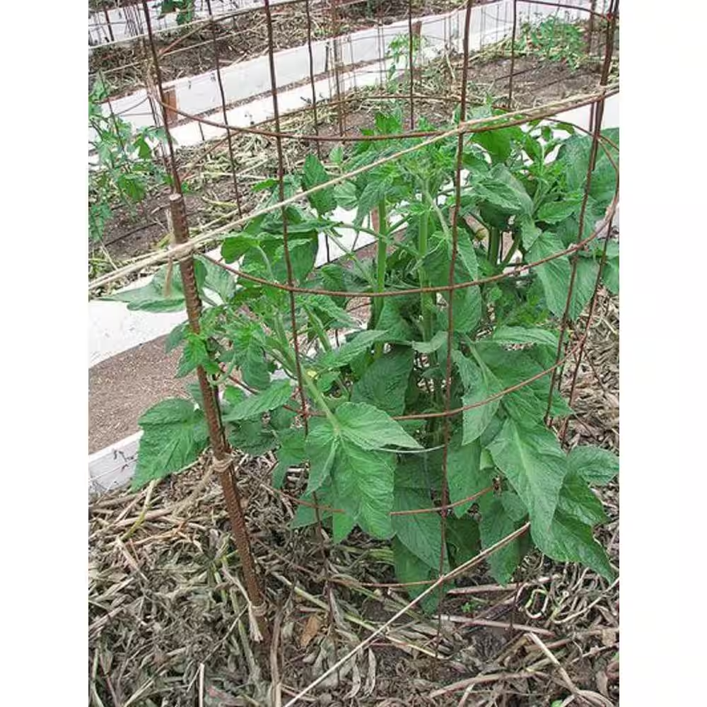 1/2 In. X 2 Ft. #4 Rebar (6-Per Bundle)