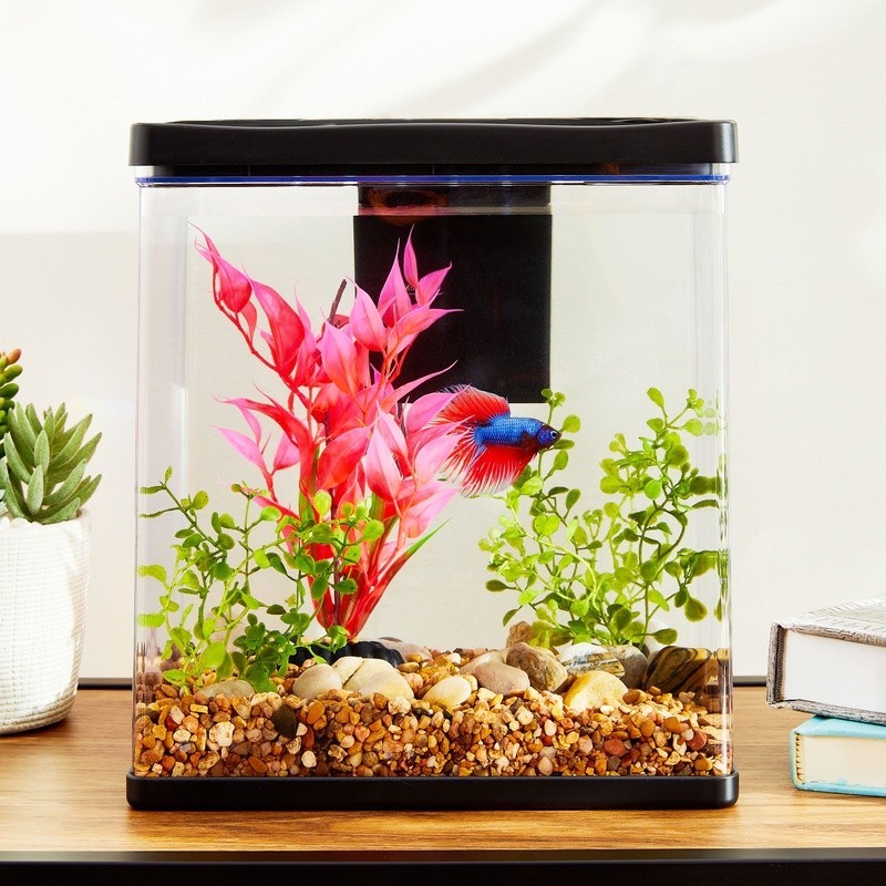 3 Gallon Betta Aquarium Starter Kit LED Light Quiet Filter Complete Setup New